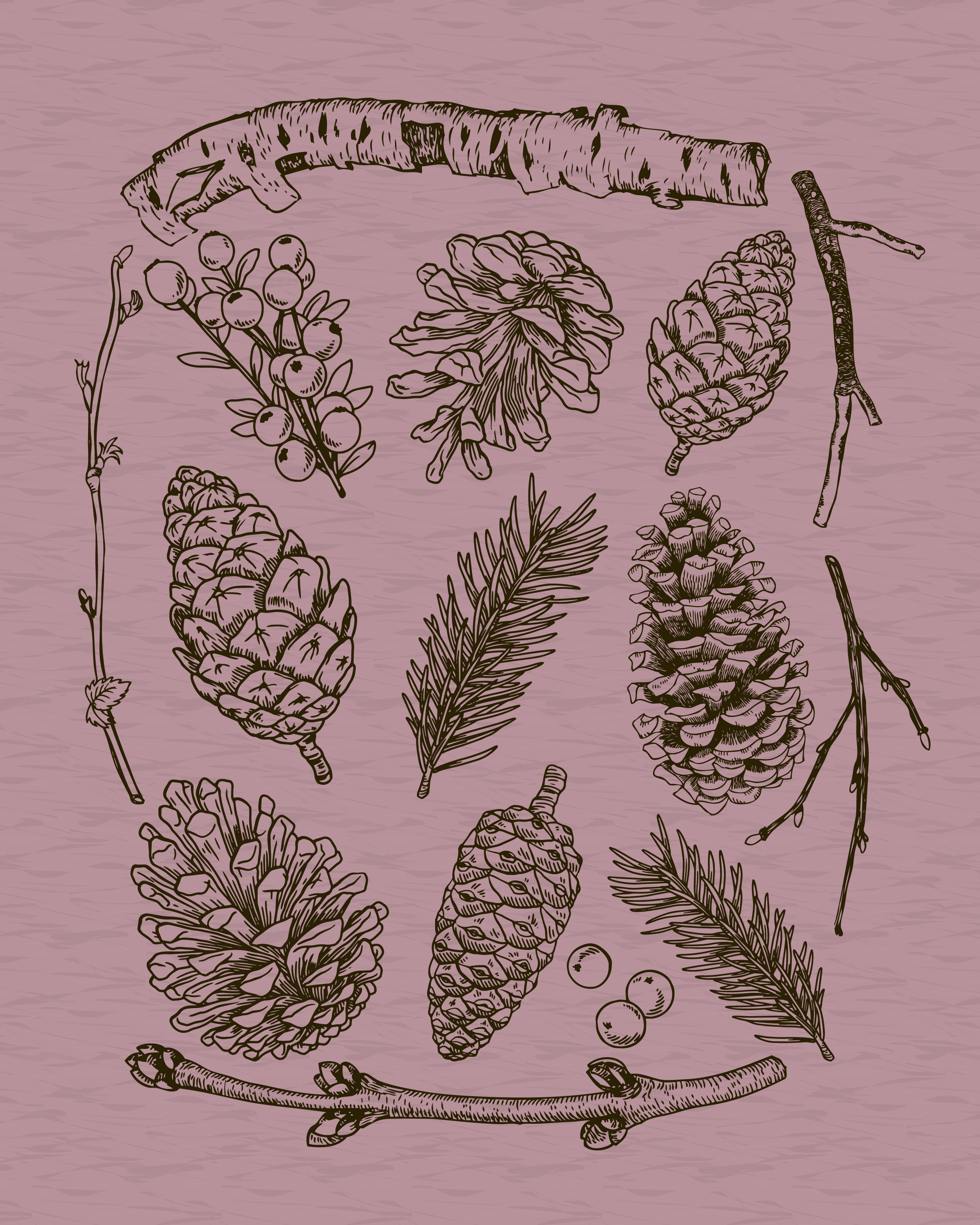 Pinecones · Heather T-Shirt
